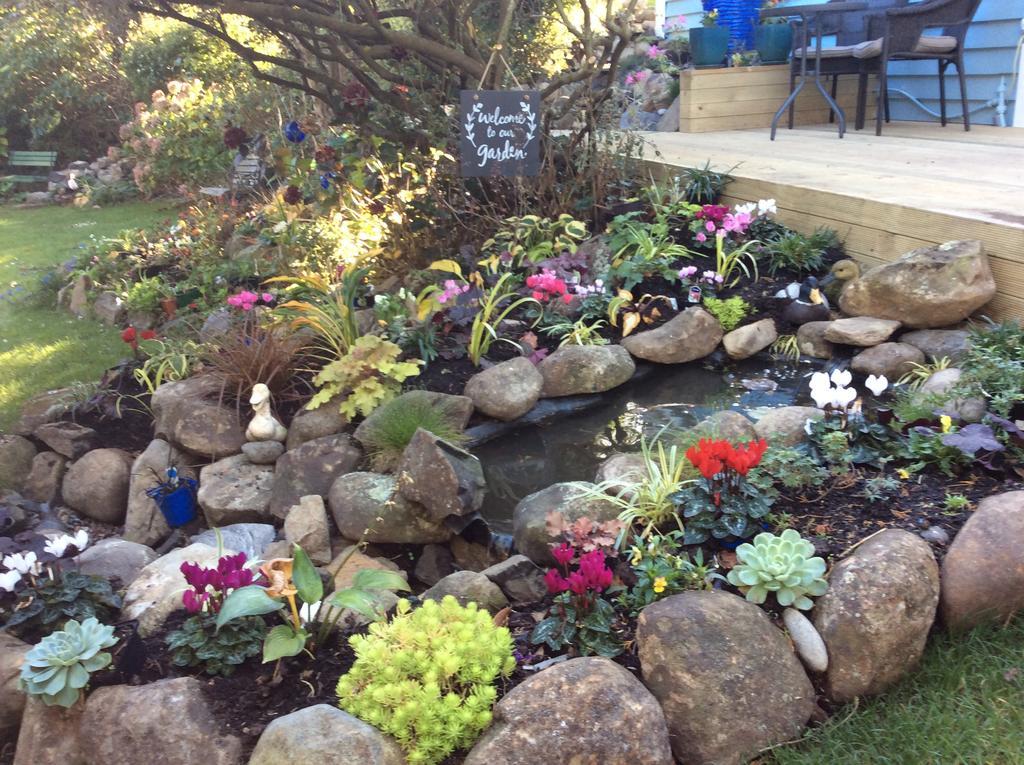 Company Bay Castlewood Cottage المظهر الخارجي الصورة