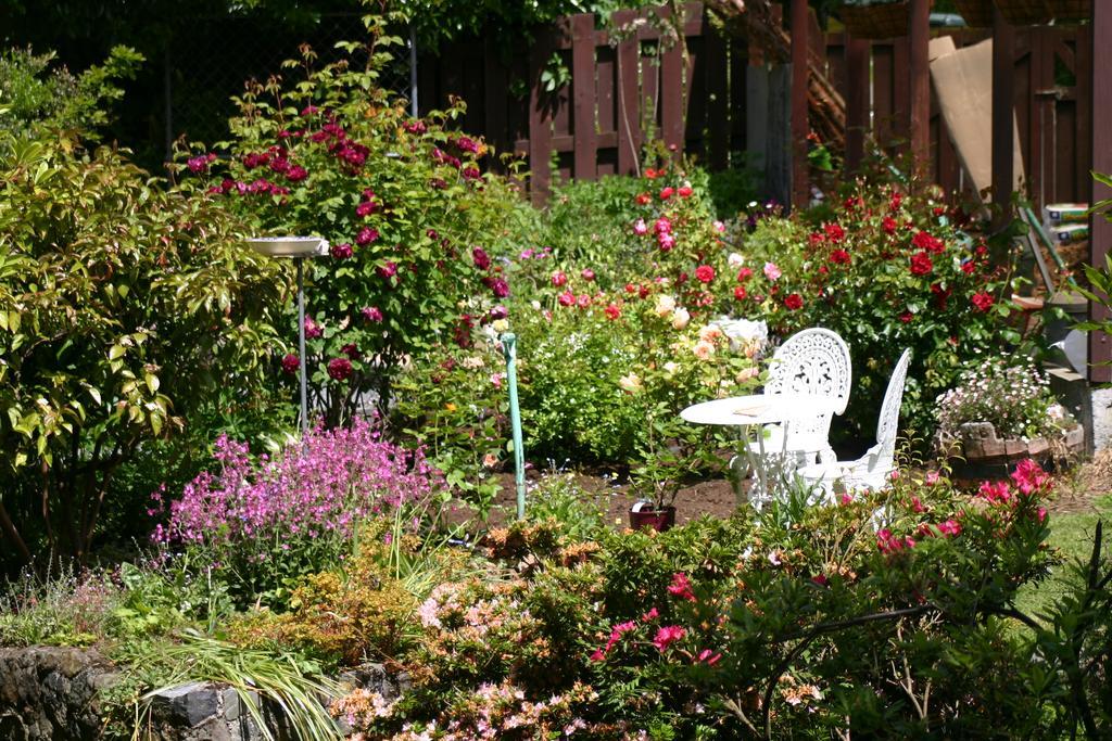 Company Bay Castlewood Cottage المظهر الخارجي الصورة